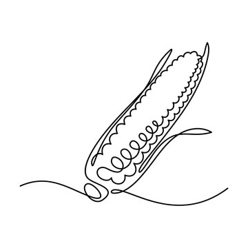 recommend clip art: Maize ear in continuous line art drawing style. Corn cob black linear sketch isolated on white background. Vector illustration