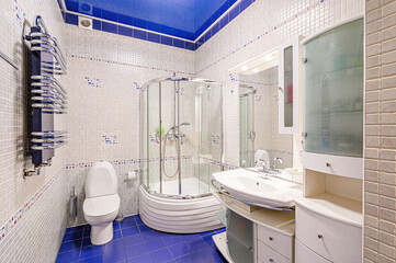 interior apartment room bathroom, sink, decorative elements, toilet. WC, sanitary unit, wash room