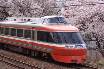満開の桜の中を駆け抜ける小田急7000形電車_2010/4/6撮影