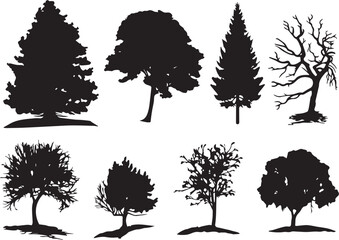 Set Trees. Hand drawn vector illustration	