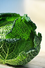 Closeup view of green fresh organic savoy cabbage - 735008324