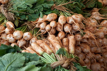 View of the stacked young radish in the market