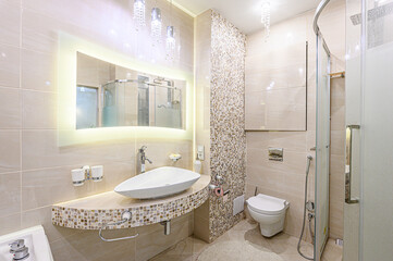 interior apartment room bathroom, sink, decorative elements, toilet. WC, sanitary unit, wash room