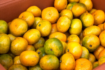 tangerines in the box