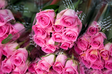 bunches of roses