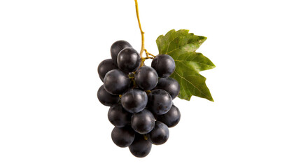 Bunch of black grapes isolated on transparent background.