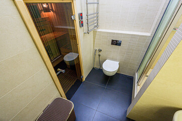 interior apartment room bathroom, sink, decorative elements, toilet. WC, sanitary unit, wash room