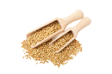 Green buckwheat in a wooden spoon isolated on a white background. Superfood. Raw buckwheat porridge. Healthy vegan food, eco products, diet, organic.