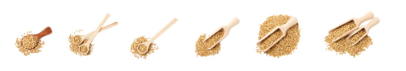 Green buckwheat in a wooden spoon isolated on a white background. Superfood. Raw buckwheat porridge. Healthy vegan food, eco products, diet, organic.