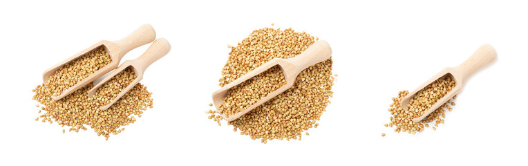 Green buckwheat in a wooden spoon isolated on a white background. Superfood. Raw buckwheat porridge. Healthy vegan food, eco products, diet, organic.