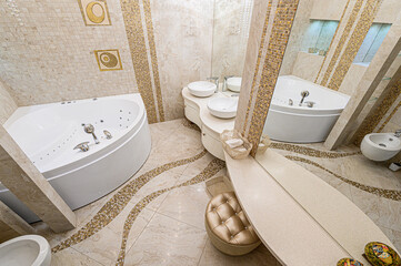 interior apartment room bathroom, sink, decorative elements, toilet. WC, sanitary unit, wash room