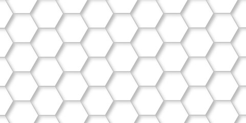 Fototapeta premium Abstract background with white hexagons and seamless pattern in vector design . luxury white pattern geometric mesh cell texture .hexagon 3d background texture design .