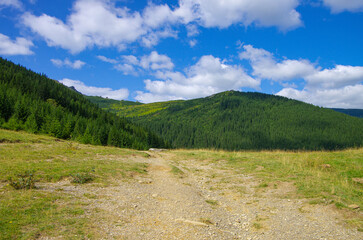 Fototapeta na wymiar summer landscape of the Carpathian mountains. Ukraine