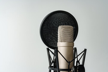 Professional studio microphone on the white background