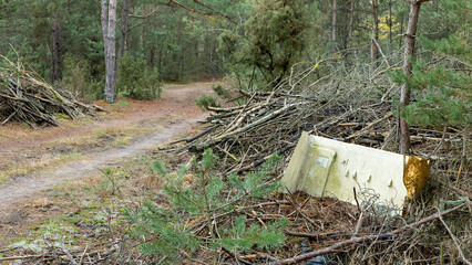 An old refrigerator thrown away in the forest.  Ecological problems, littering the natural environment in Poland.