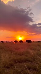 Elephants Roaming Across African Plains at Breathtaking Sunset.