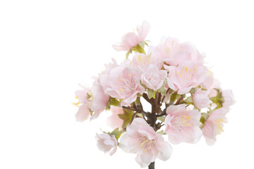 Bouquet of soft pink artificial flowers isolated on a white background.