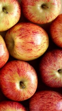 Top view of fresh red apples rotate in circle. Fruits background close up. Harvesting, agriculture. Vertical shot