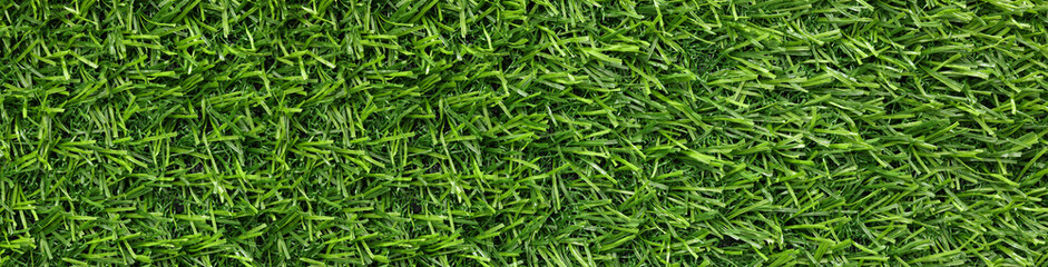 Fototapeta na wymiar Fresh green grass as background outdoors, top view. Banner design