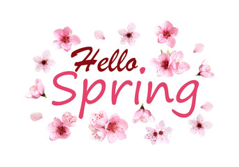 Hello Spring card design with beautiful pink flowers on white background