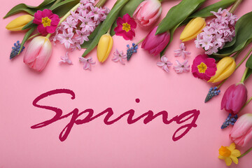 Spring. Beautiful flowers on pink background, flat lay