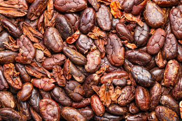 Top view, closeup pile of dry roasted crispy cacao nibs background. Cacao nibs are the excellent source of antooxidants, fiber and minerals.