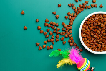 Bowl of dry pet food on green background