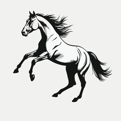 Obraz na płótnie Canvas Horse silhouette illustration vector icon logo design