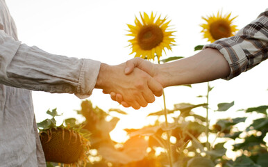 Agribusiness concept. Cropped shot business people shake hands at sunflower field. Farmer partners...