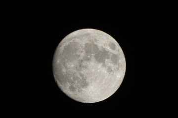 Obraz premium moon in the night