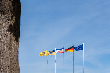 Flagpoles with flags of Binz, Vorpommern district, Mecklenburg-Western Pomerania, Germany and Europe on a sunny day with a tree trunk in the foreground, Binz, Rügen, Germany