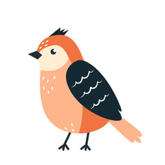 Funny orange bird. on white background. Child animal character.