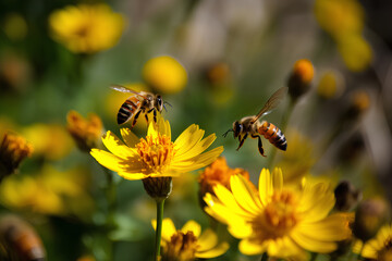 bee on yellow flower made by midjourney