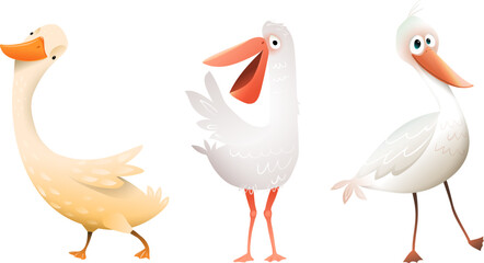 Cute birds isolated clipart for children. Goose, pelican and seagull, happy colorful birds characters for kids. Funny animals vector cartoon illustration. Clipart set in watercolor style.