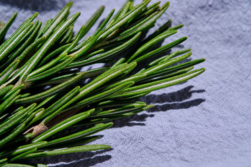 Fresh rosemary on a background of blue fabric.