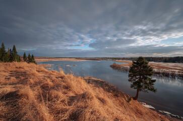 spring river tree view from the hill