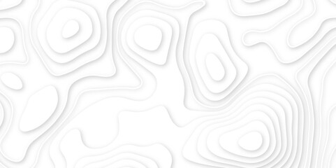 Abstract white wavy line 3d paper cut white background. abstract white background with smooth wavy layers. silver grid map line topography mount contour map .