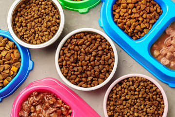 Plastic pet bowl with food on gray background