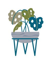 Tropical Modern Houseplant in floor pot in cool green and blue colors. Round floor flower pot on a stand. For design of a dark room, at night. Indoor plant concept of domestic greenery.