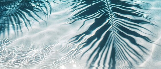 Palm leaf shadow on the ocean