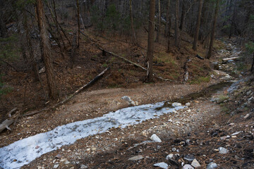 A thin frozen creek winds into a dark forest atop Mount Lemmon, Tucson, Arizona