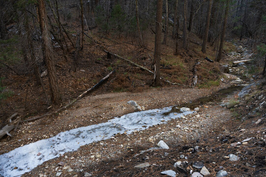 A thin frozen creek winds into a dark forest atop Mount Lemmon, Tucson, Arizona