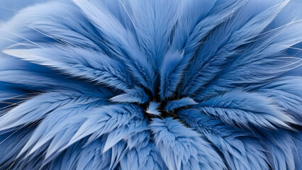 blue fur background
