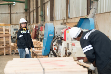 Male and female engineer control, maintenance and inspecting quality of machine in lumber storage factory. Warehouse and factory concept
