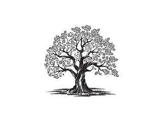 giant oak tree hand drawn vector illustrations - obrazy, fototapety, plakaty