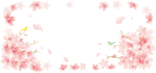 Fototapeta na wymiar 春の花　桜のベクターイラスト spring flowers　background