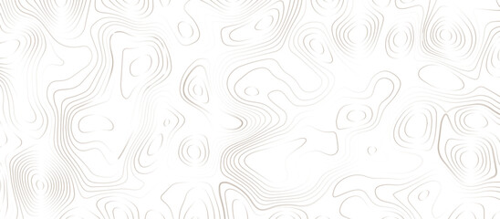 Abstract topographic Contour Map Subtle White Vector Background . Blank Detailed topographic patter line map background .Topographic Map Of wild west Abstract Vector Background.
