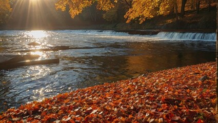 autumn leaves on the river
