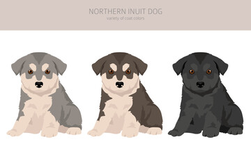 Northern Inuit dog puppy clipart. All coat colors set.; All dog breeds characteristics infographic