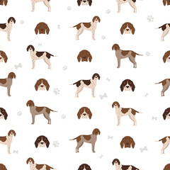 Old Danish pointer seamless pattern. Different poses, coat colors set